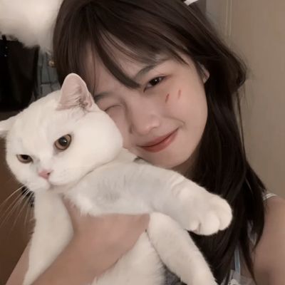 云开·全站APP下载截图