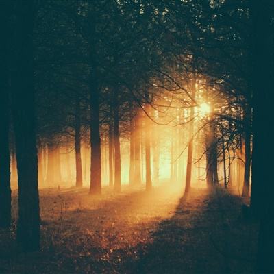 新澳门游戏网站入口下载手机版