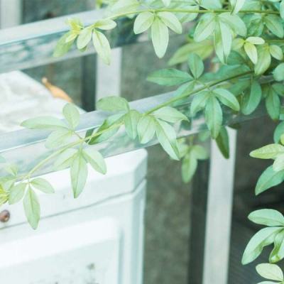 云开·全站APP下载截图